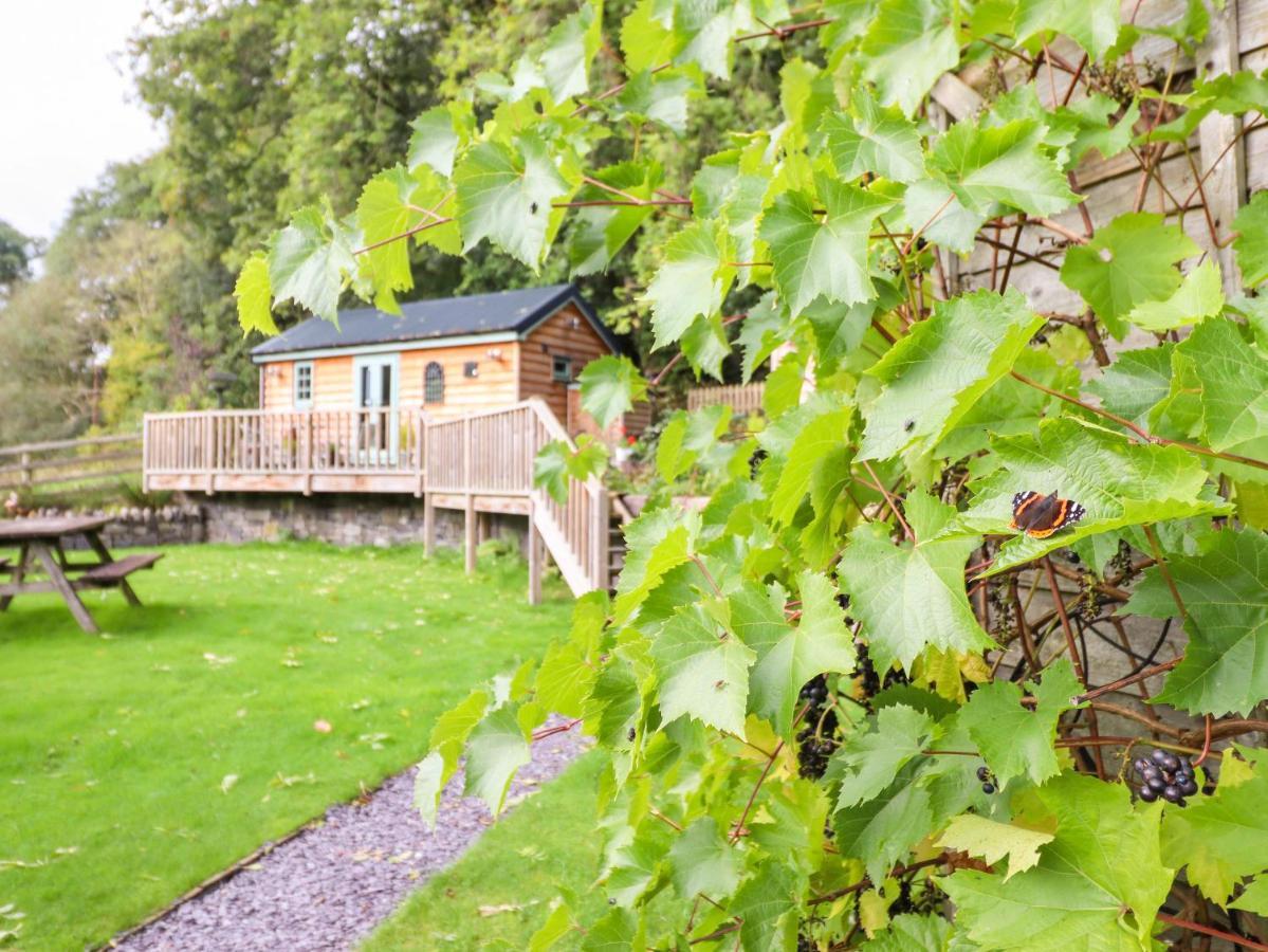 Chateau Petit Caersws Zewnętrze zdjęcie